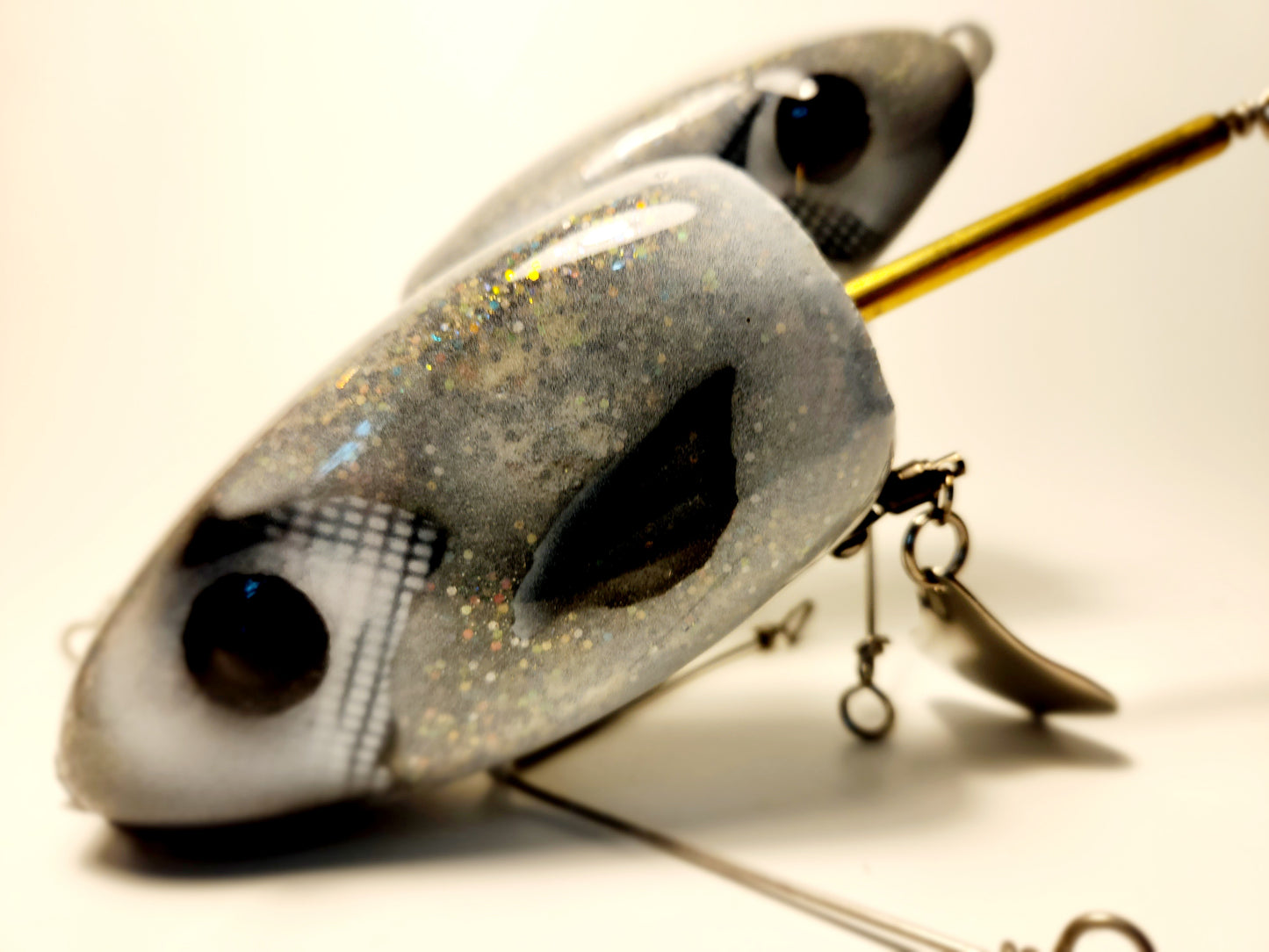 Rattle-Flap Flaptail