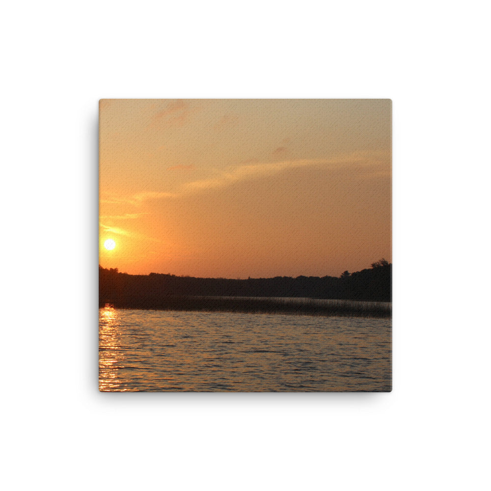 Sunset Skunk Print