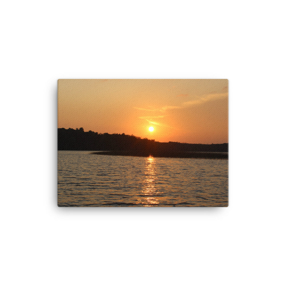 Sunset Skunk Print