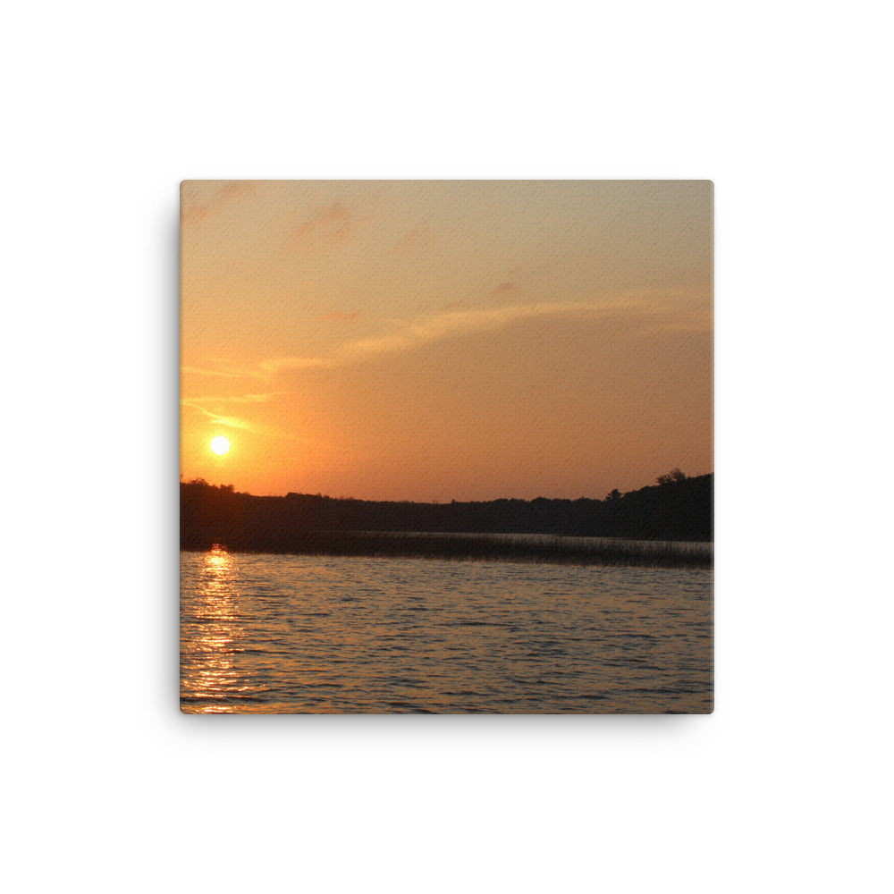 Sunset Skunk Print