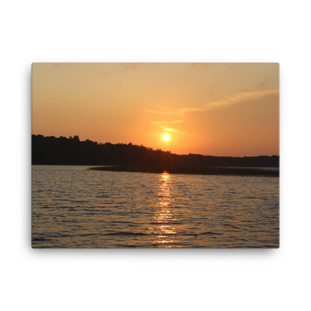 Sunset Skunk Print