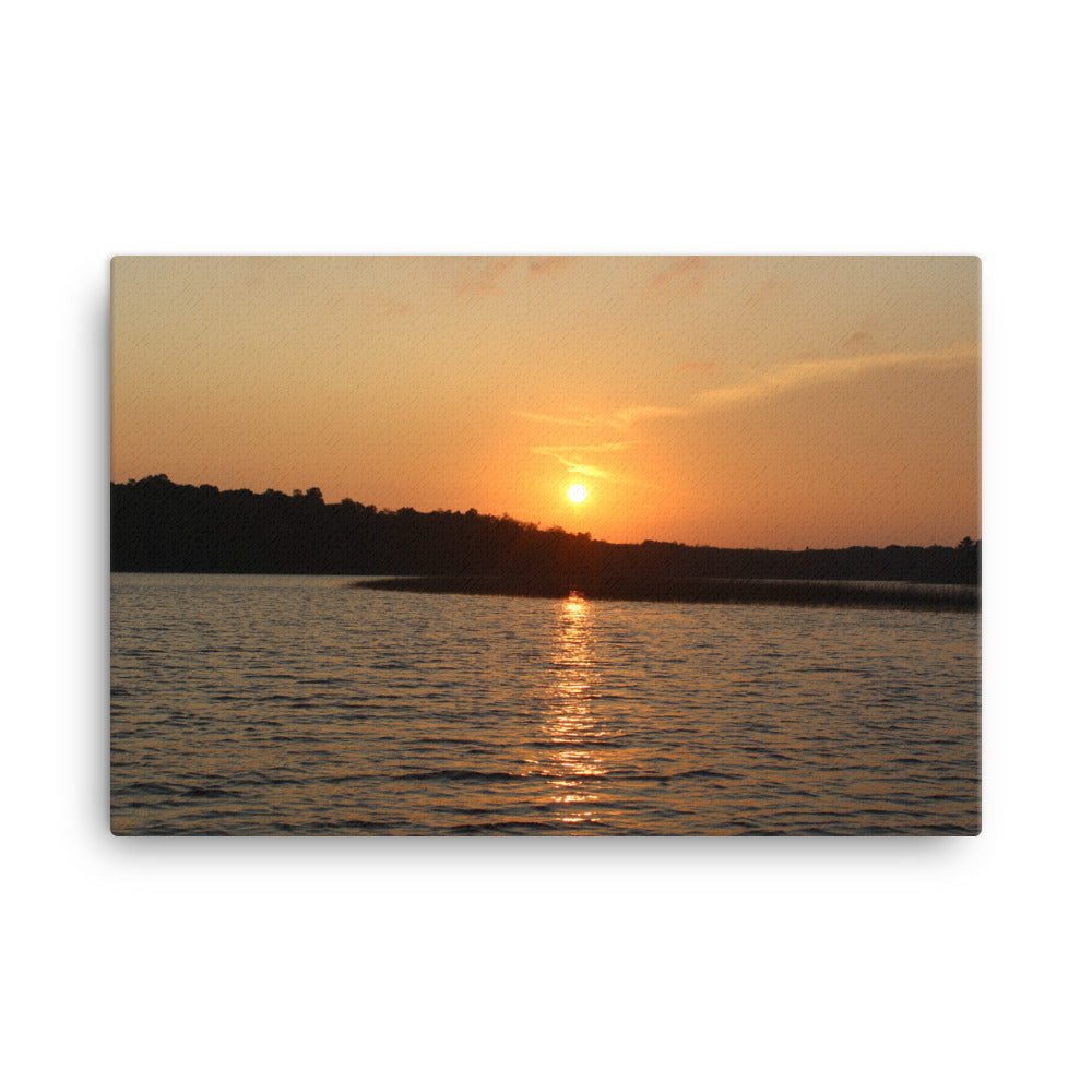 Sunset Skunk Print