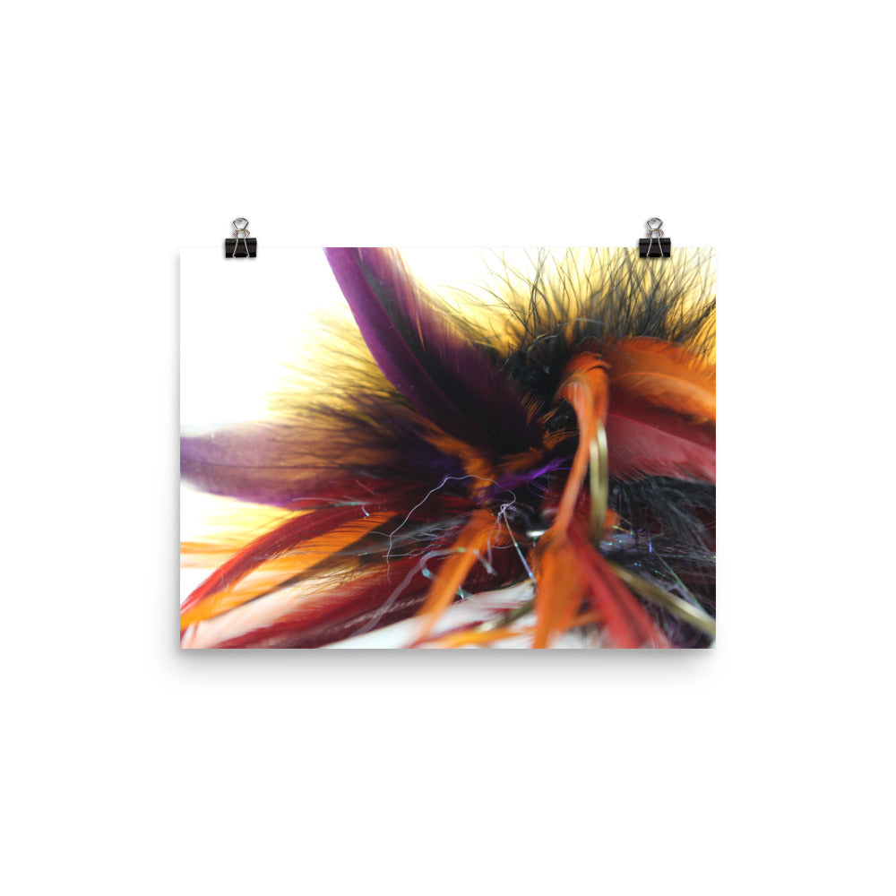 feather tail Poster
