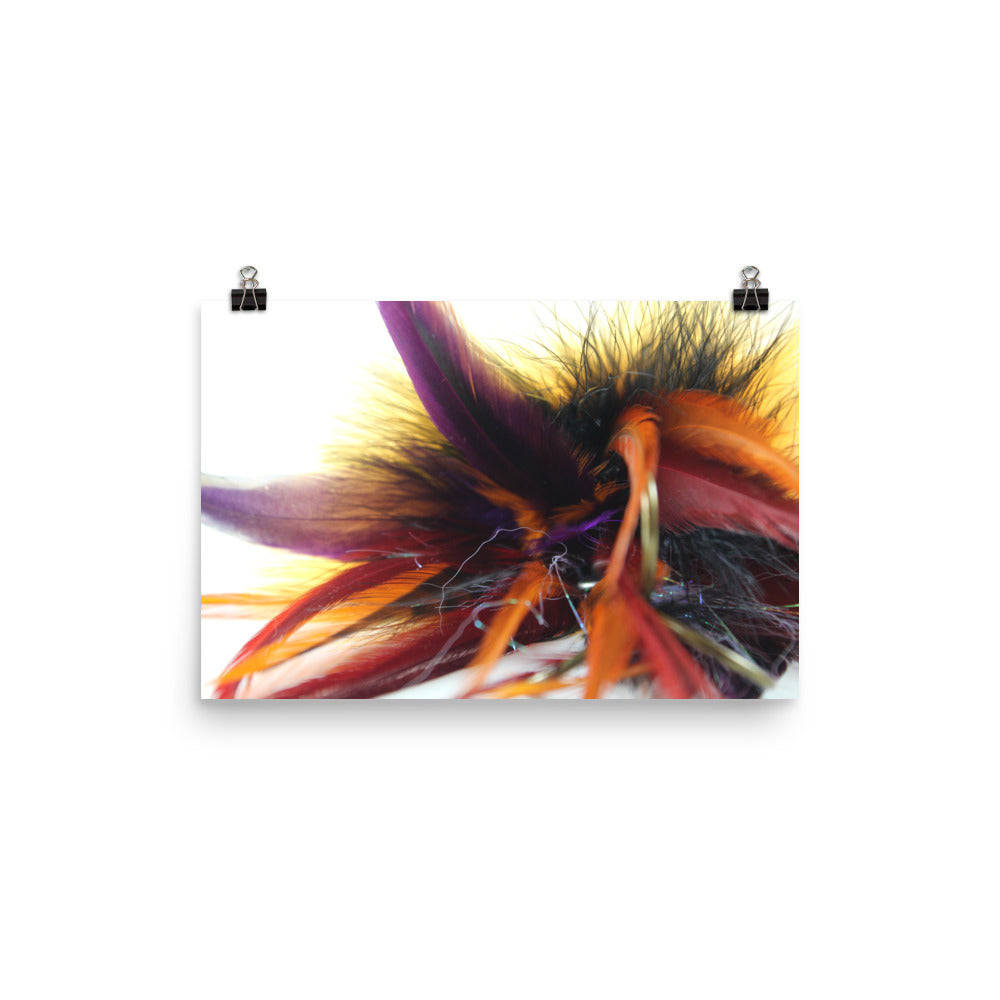 feather tail Poster